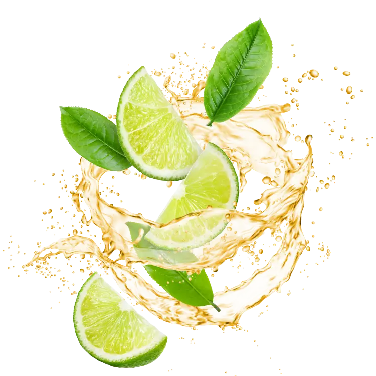 Splash Image