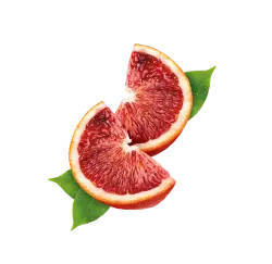 Blutorange / 65ml