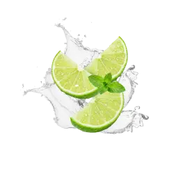 Mojito / 12 x 330ml